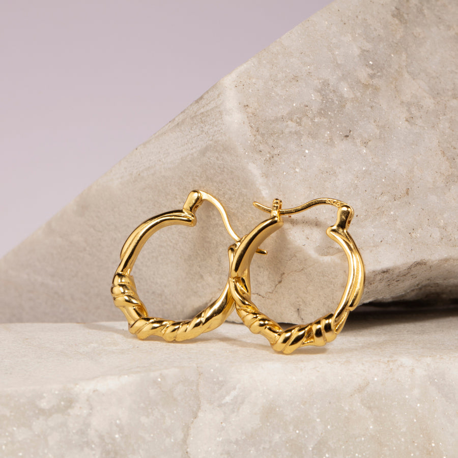 Stylish Twisted Hoop Earrings